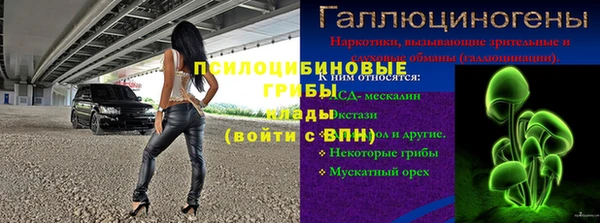 крисы Михайлов