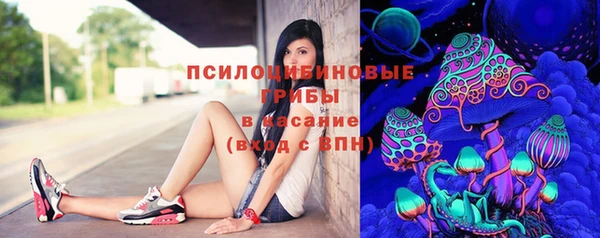 2c-b Михайловка